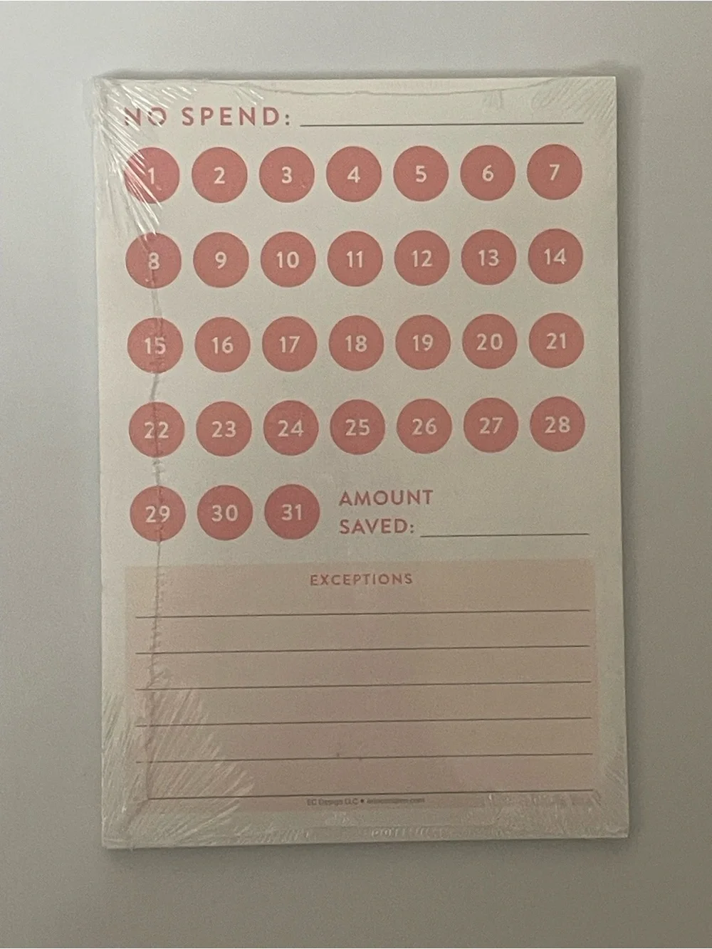 Erin Condren “No Spend” Tracker Sticky Notepad